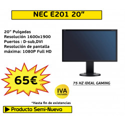 NEC  E201W 20"